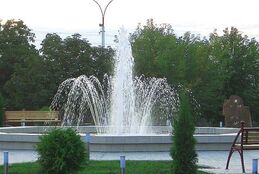 Фото - 2