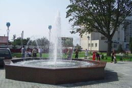 Фото - 3