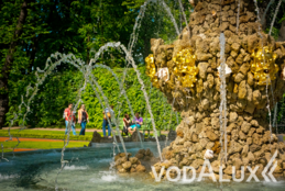 Фото - 5